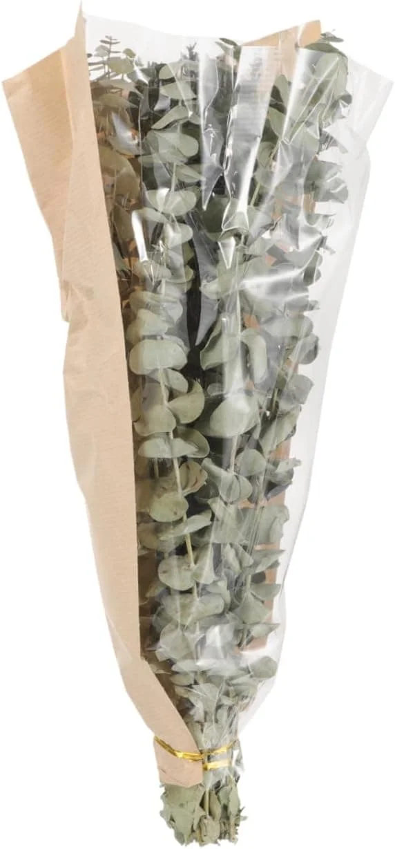 1 bundle of dried lavender flowers dried eucalyptus for shower relaxing aroma CJ-KM-0812000160 1 bundle of dried lavender flowers dried eucalyptus for shower relaxing aroma CJ-KM-0812000160