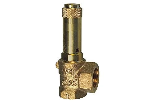 RIEGLER 105649 221.08 13,0 hörnsäkerhetsventil, vätskor, G 2, svarstryck 13 bar, 1 st. 4047322293273
