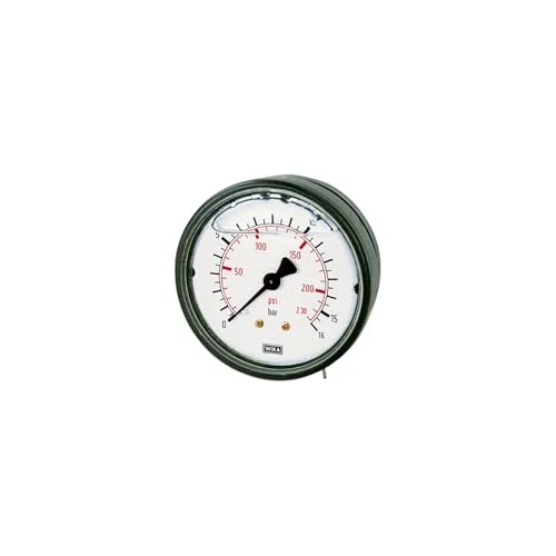 RIEGLER 102102 810 K Glyzerinmano., plast, G 1/4 bakmittpunkt, 040,0 bar, Ø 63, 1 st. 4047322119160