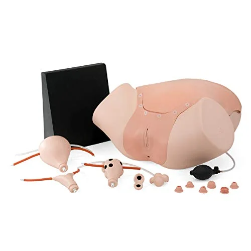 3B Scientific Gynäologisk etrainer P91 4053083062812