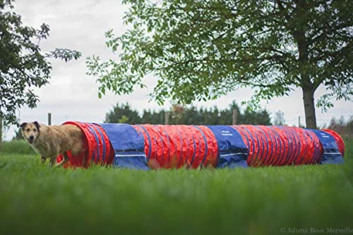 Animo Inledande koncept: 100% icke Slip tävlingstunnel 6 meter blå och röd båge 1 enhet 3760210205059