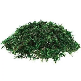 1 Förpackning Konstgjord Konserverad Moss Terrarium Grön Moss Trädgårdsmästeri Centerpieces Bonsai Moss Dekor (Ungefär 20G) FD-L08-4132 1 Förpackning Konstgjord Konserverad Moss Terrarium Grön Moss Trädgårdsmästeri Centerpieces Bonsai Moss Dekor (Ungefär 20G) FD-L08-4132
