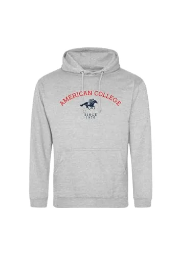 AMERICAN COLLEGE USA tröja med tryck varma kläder blandade män och kvinnor casual modell ACSCW3 MELL grå L, Färg: grå, L 3666052675695