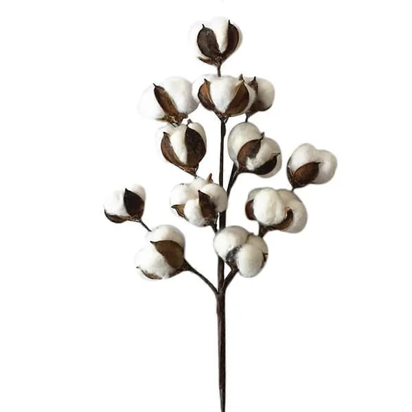 1 gren med 50 cm bomullsstjälkar bomullsgren konstgjorda torkade blommor hem bröllopsdekor SUMFZ089075 1 gren med 50 cm bomullsstjälkar bomullsgren konstgjorda torkade blommor hem bröllopsdekor SUMFZ089075